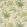 Woodfern Wallpaper by Colefax and Fowler Green