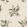 Woodland Wallpaper by Anna French Green on Natural