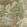 Woodland Clearing Wallpaper by Thibaut Green