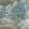 Woodland Clearing Wallpaper by Thibaut Spa Blue