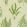 Woodland Ferns Wallpaper by Sanderson Green