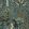 Woodland Floor Wallpaper by Josephine Munsey Petrol and Sage