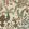 Woodland Floor Wallpaper by Josephine Munsey Stone and Teal