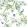 Yukio Fabric by Thibaut Blue and Green