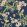 Yukio Fabric by Thibaut Navy and Pink