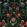 Zabola Wallpaper by MINDTHEGAP Black Green