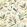 Zaria Fabric by Villa Nova Canopy