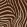 Zebra Fabric by Arley House Chestnut