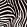 Zebra Fabric by Arley House Classic