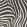 Zebra Fabric by Arley House Graphite