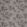 Acer Wallpaper by Zoffany Ash/Pewter