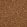 Zuri Fabric by Black Edition Mehndi