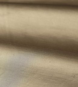 Amoret Fabric by Zoffany Fossil