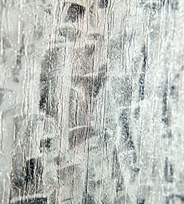 Anthology Zircon Wallpaper by Harlequin Carrara / Silver Ore