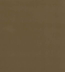 Baker House Velvet Fabric by GP & J Baker Camel