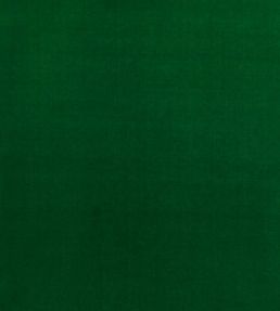 Baker House Velvet Fabric by GP & J Baker Emerald