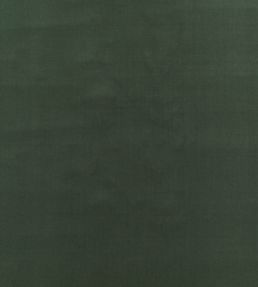 Baker House Velvet Fabric by GP & J Baker Eucalyptus