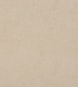 Lexham Fabric by Baker Lifestyle Oatmeal