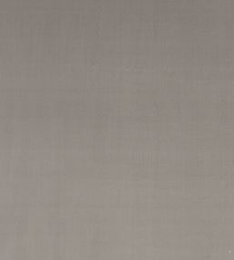 Montpellier Velvet Fabric by Baker Lifestyle Silver