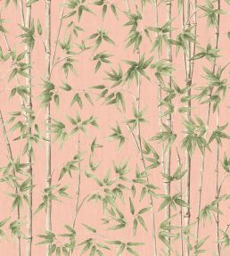 Bamboozle Wallpaper by Woodchip & Magnolia Salmon