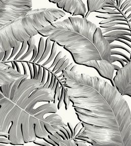 Banana Leaves Wallpaper by Brand McKenzie Black / White