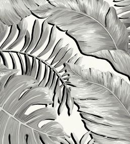 Banana Leaves Max Wallpaper by Brand McKenzie Black / White