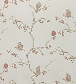 English Robin Fabric by Barneby Gates Parchment