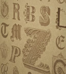 Typecast Wallpaper by Barneby Gates Vintage Gold