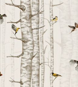 Birch Trees Wallpaper by Coordonne Beige