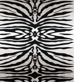 Bold Zebra Velvet Fabric by Avalana Black and White