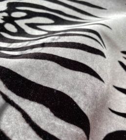 Bold Zebra Velvet Fabric by Avalana Black and White