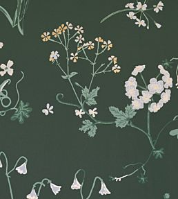 Botanica Wallpaper by Barneby Gates Woodland Green