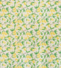 Capri Lemon Fabric by Barneby Gates Cream