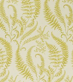 Folium Fabric by Clarke & Clarke Chartreuse