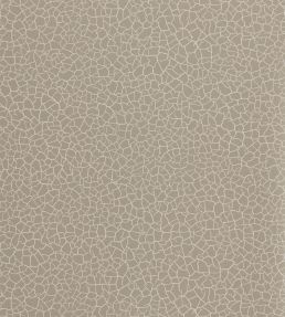 Cracked Earth Wallpaper by Zoffany Stone