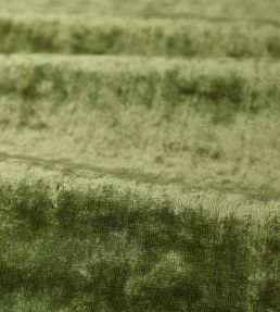 Curzon Fabric by Zoffany Deep Fern
