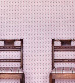 Daisy Scallops Wallpaper by Barneby Gates Red/Pink