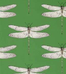 Demoiselle Wallpaper by Harlequin Kelly/First Light/Blush