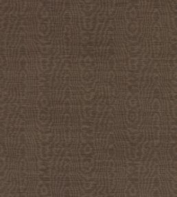 Elsworthy Wallpaper by Harlequin Chocolate