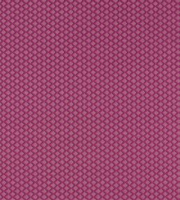 Equator Fabric by Clarke & Clarke Raspberry