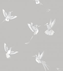 Exotic Birds Wallpaper by Brand McKenzie Concrete Grey