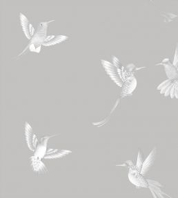 Exotic Birds Wallpaper by Brand McKenzie Concrete Grey