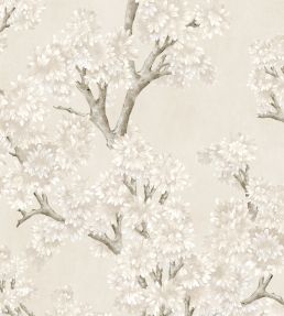 Field Maple Wallpaper by Coordonne Bone