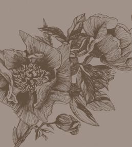 Giant Peonies Mural by Coordonne Cacao