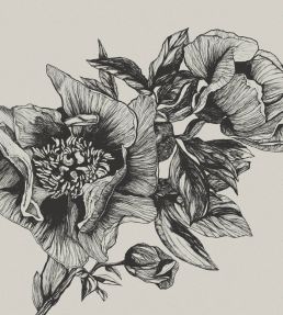 Giant Peonies Mural by Coordonne Ink