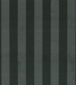 Haldon Fabric by Clarke & Clarke Ebony