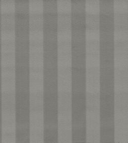 Haldon Fabric by Clarke & Clarke Graphite