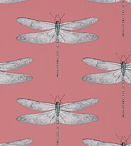 Demoiselle Wallpaper by Harlequin Coral/Mint