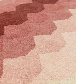Asiatic Hive rug Pink HIVE120170PINK Pink