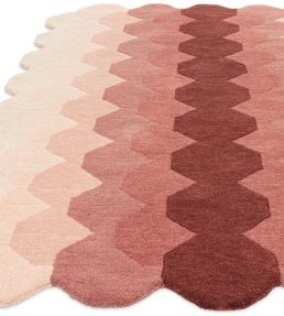 Asiatic Hive rug Pink HIVE120170PINK Pink